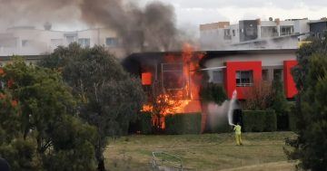 ACT cladding solution 'long overdue' as insurance premiums skyrocket