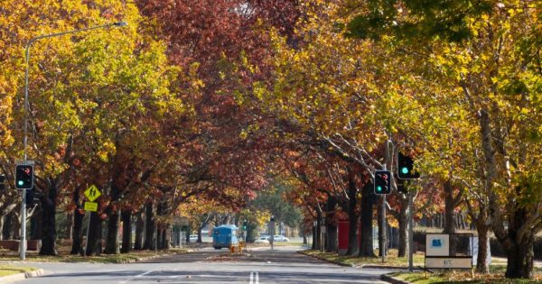 Your say: Where to see the best of Canberra's autumn glory