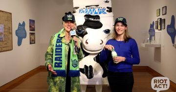 Weekly news wrap with Genevieve Jacobs from CMAG's Canberra milk exhibition