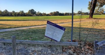 Burns Club car park plans for oval throw Tuggeranong Little Athletics