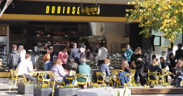 Dobinsons new bakery already on a roll in Gungahlin