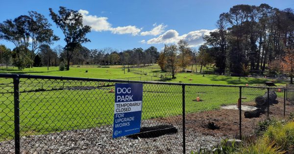 Dog parks on pause but makeovers will mean greener romps