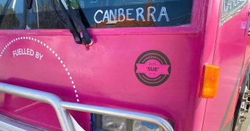 A bus named Sue: Canberra to get first women's sleepbus