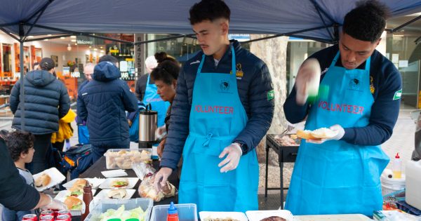 Brumbies back a good feed for Fair Canberra