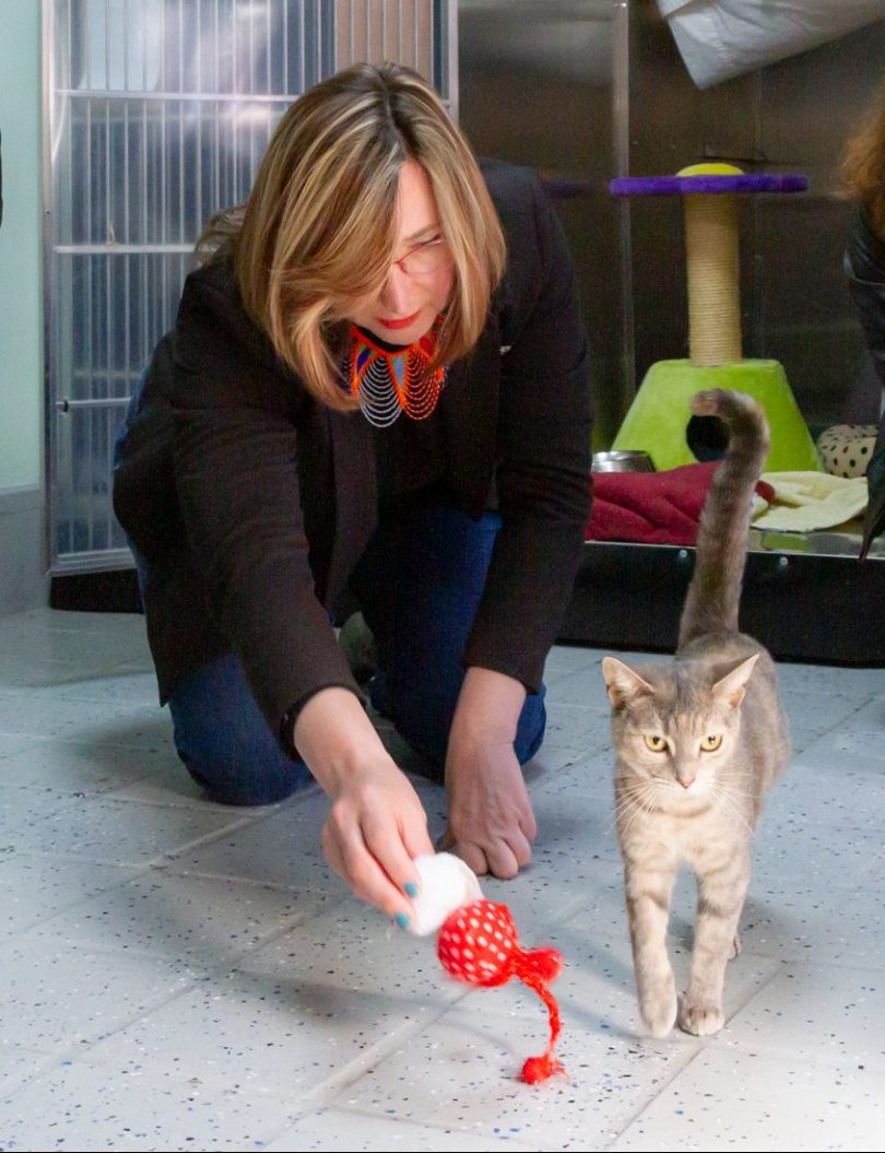 Michelle Roberston with a cat at the RSPCA in Canberra