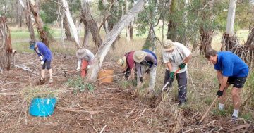 $3.5 million to go to local volunteer groups to 'maintain and improve iconic landscape'