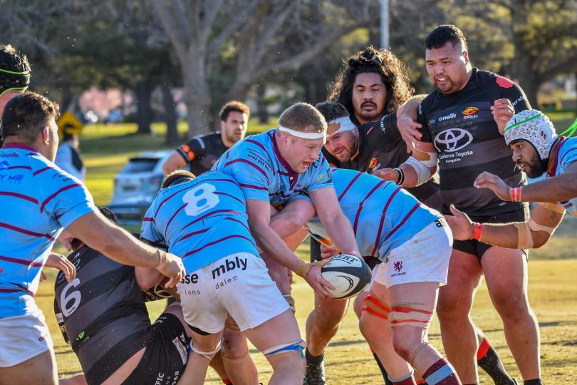 Rugby union players in John I Dent Cup game in Canberra