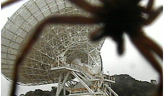 Huntsman spider 'trying to eat' Canberra Deep Space antenna caught on security camera