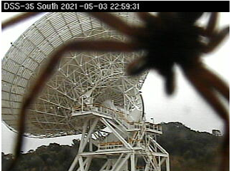 Huntsman spider 'trying to eat' Canberra Deep Space antenna caught on security camera