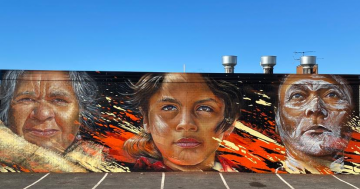 Mixed response as mural 'tribute' unveiled in Batemans Bay