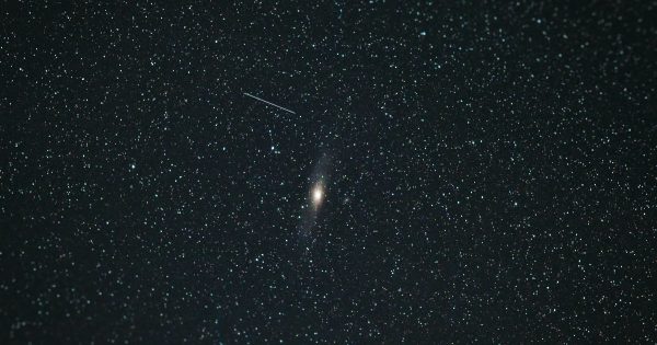 Three meteor showers will brighten the Canberra night sky this weekend