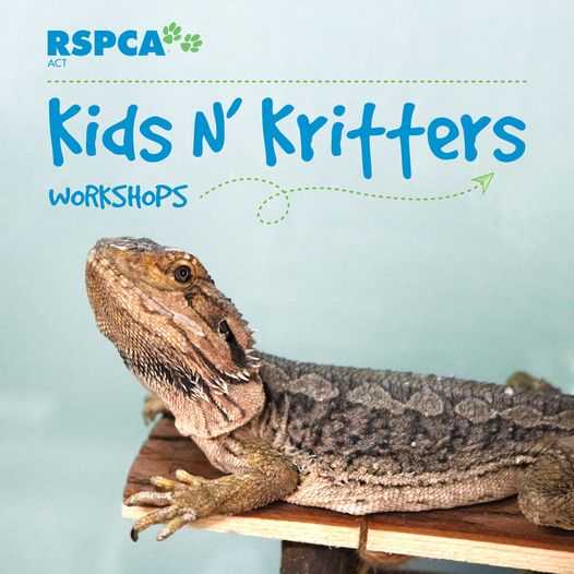 kids n' critters rspca