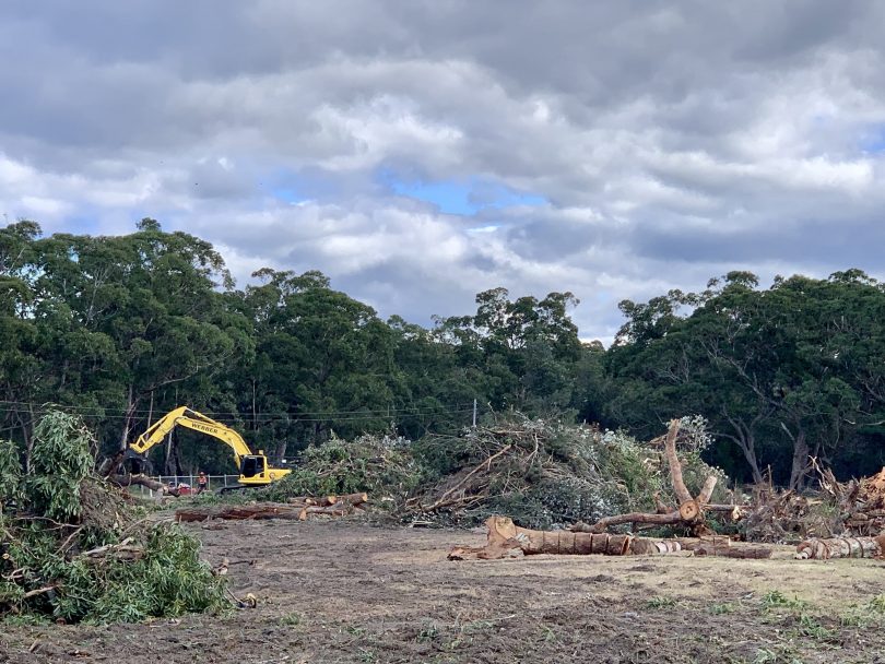 Bulldozer clearing bush in Broulee