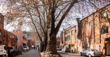 Design work under way to transform Civic's historic laneways