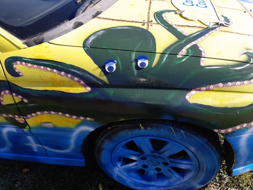 octopus on car