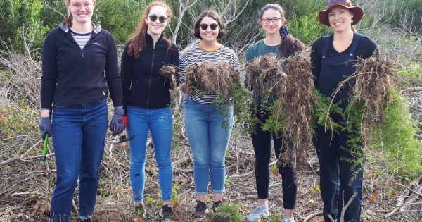 ANU medical students bring their skills and care to a coastal classroom