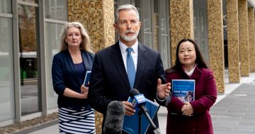 Liberals call for Gonski-style education review to stop students falling behind