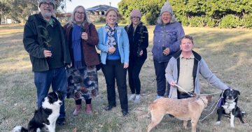 Micro-forests make major impact on Canberra's heat map