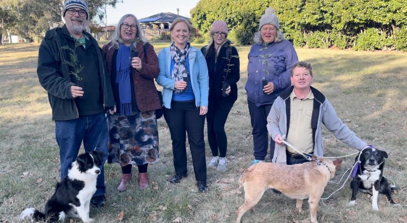 Holt residents at site of micro-forest