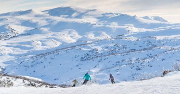 Perisher jumps the queue to open early this weekend