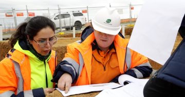 Women in construction trading up in the world