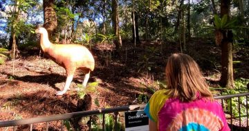 Demon ducks and giant lizards: meet Australia’s megafauna at the Botanic Gardens