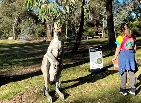 Girl and giant short-faced kangaroo exhibit at Australian National Botanic Gardens