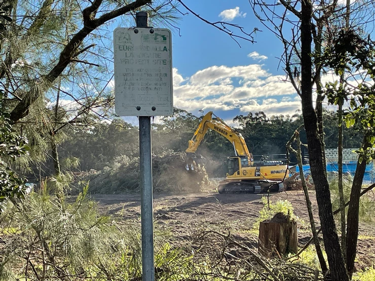 Bulldozer clearing trees in Broulee