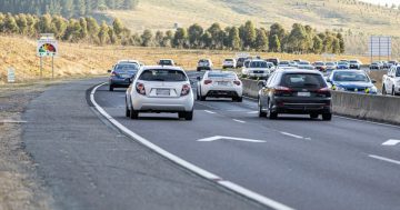 Probing the polls: the mighty flannie and angry Canberra drivers