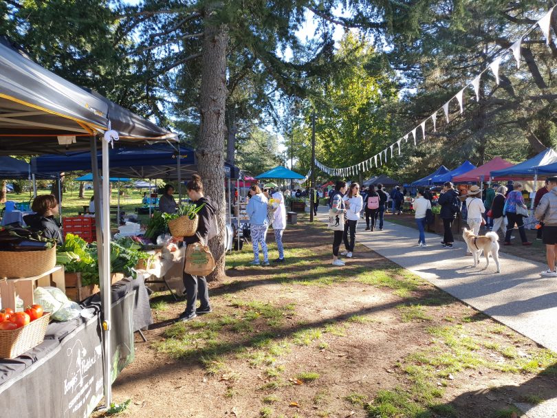 Haig Park Village Markets