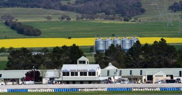 Goulburn's loss could be Canberra's gain as Wakefield Park dispute drags on