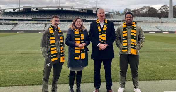 The Wallabies return to play at Canberra Stadium for October's Rugby Championships