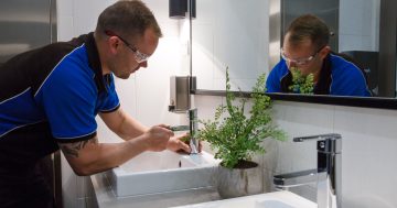 ACT's peak plumbing body urges Canberrans to check first to avoid costly problems later