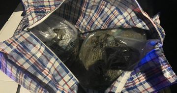 Police execute search warrant and seize cash and 21 kg of cannabis