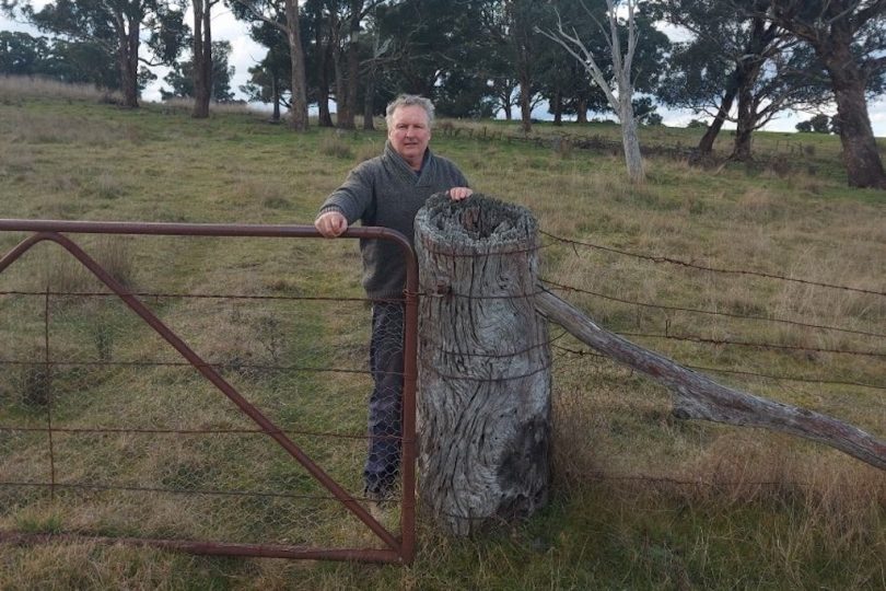 Chris Croker standing alongside an original surveyor’s peg at 'Ayrston' property