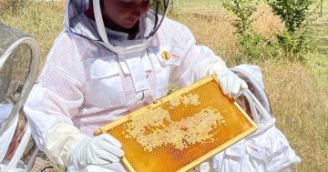 Binda Public School's nine students suit up as beekeepers