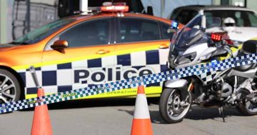 Stolen vehicle collides with police in Molonglo