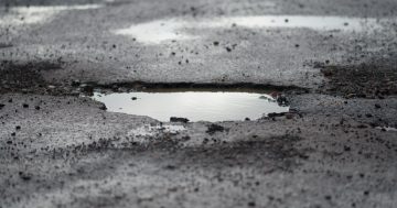 Probing the polls: speeding fines and pothole payments