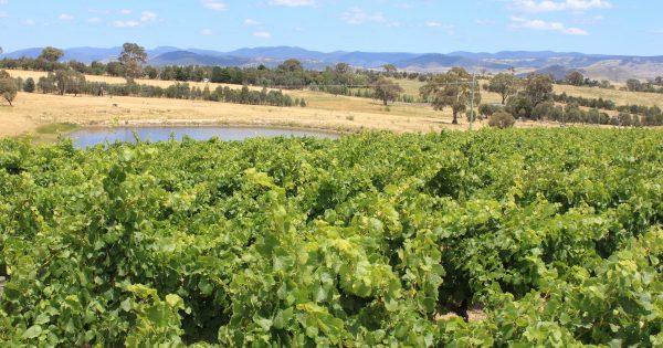 Great wineries right on the doorstep? Yass!