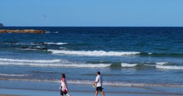 Canberra man drowns trying to save his daughter at Surf Beach on the South Coast