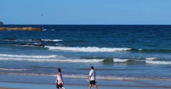 Canberra man drowns trying to save his daughter at Surf Beach on the South Coast