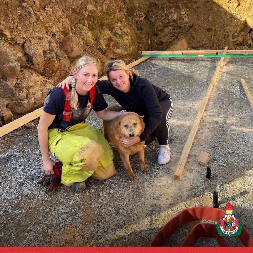 Firefighter Adrianne Roper, Rusty the dog, and Melissa Hay at construction site