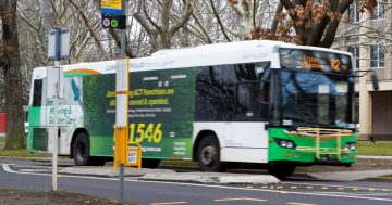 What's stopping women in Canberra from using public transport or active travel?