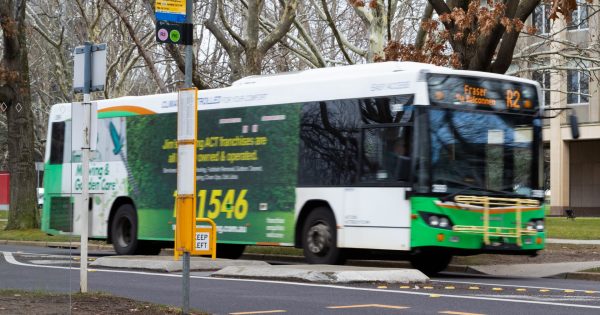 Go back to the future to make bus network a real transport option, says budget submission