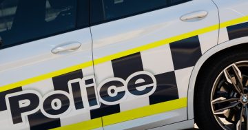 Gungahlin brawlers caught with gel-blaster handgun and large knife, police allege