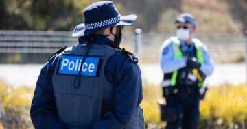 Police serve nearly 90 Family Violence Orders over just two days