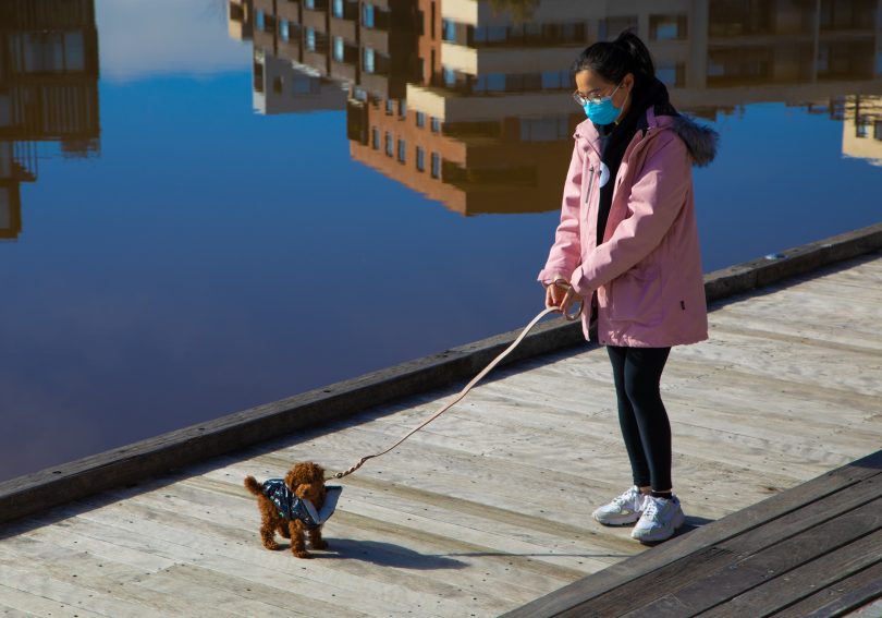 Woman walking her puppy 