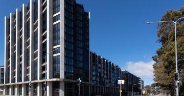 Canberra like you've never seen it: lockdown turns the nation's capital into a ghost town