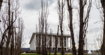 How the National Library can still have poplars and retain its heritage character