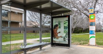 Are there too many advertisements in Canberra?